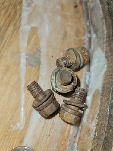 Genuine suzuki lt50 - genuine,