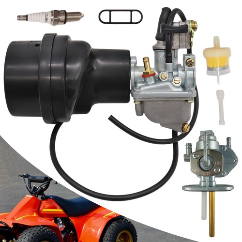 Carburetor air filter box - w/air,