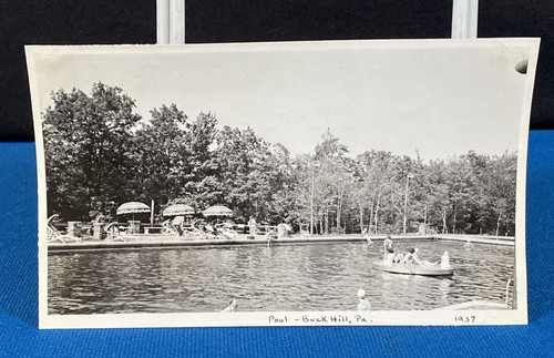 Swimming pool buck - pool,